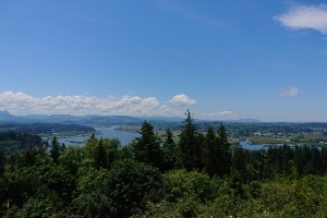 dsc_0168