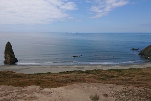 dsc_6874
