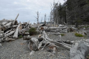 dscn0051