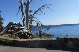 dscn0125