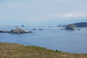 dscn6961