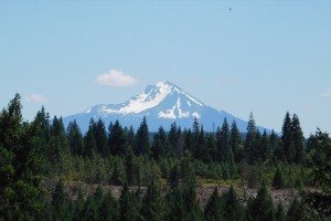 dscn7011