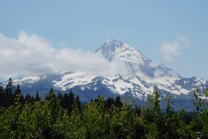dscn7304