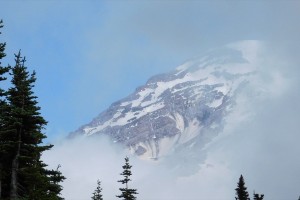 dscn7354