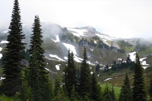 dscn7361