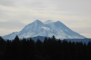 dscn7507
