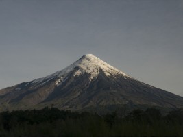 d30_0065