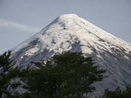 d30_0074