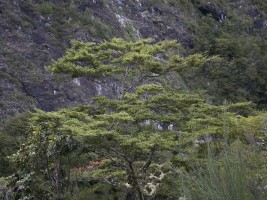 d30_0104