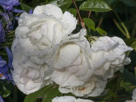 d30_0257