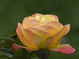 d30_0283