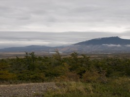 d30_0593