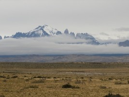 d30_0638