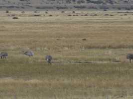 d30_0857