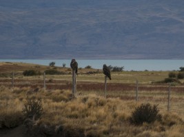 d30_0930