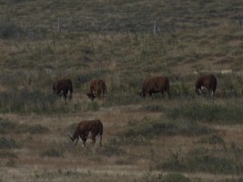 d30_0944