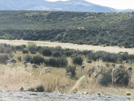 d30_1215