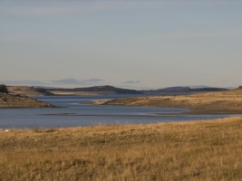 d30_1292