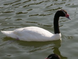 d30_9860