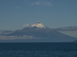 d30_9961