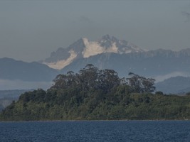 d30_9980