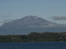 d30_9981