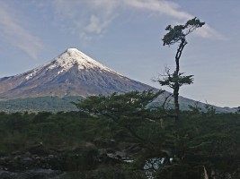 dsc_0017a