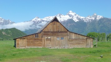 P1030554